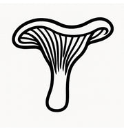 Stempidoo - Maxi Mini - Motivstempel - Pilz- Pfifferling - Stempel zum Basteln von Karten, DIY, Papier, Stoffen