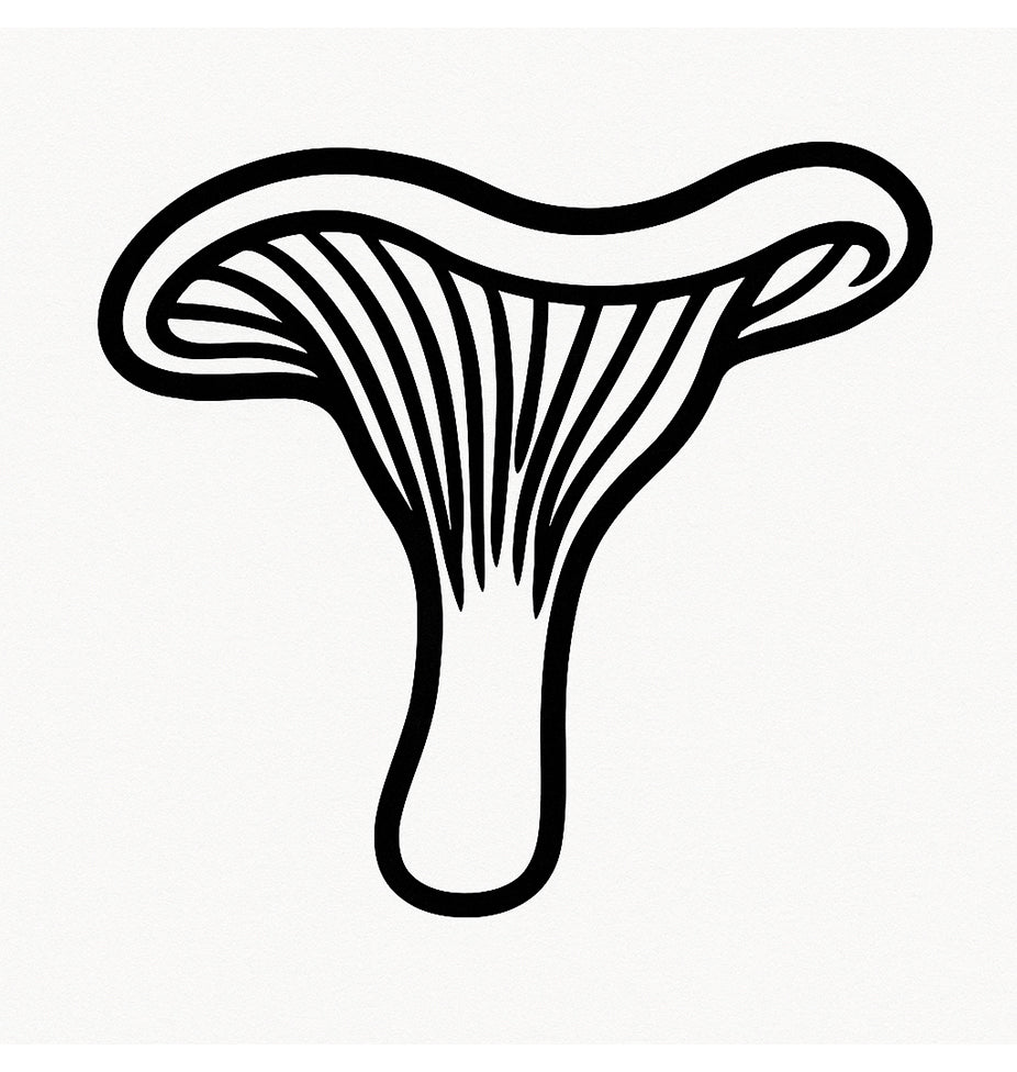 Stempidoo - Maxi Mini - Motivstempel - Pilz- Pfifferling - Stempel zum Basteln von Karten, DIY, Papier, Stoffen