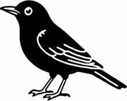 Stempidoo Maxi Mini Motivstempel Amsel – Holzstempel für Karten, Scrapbooking, DIY, Basteln & Papier 